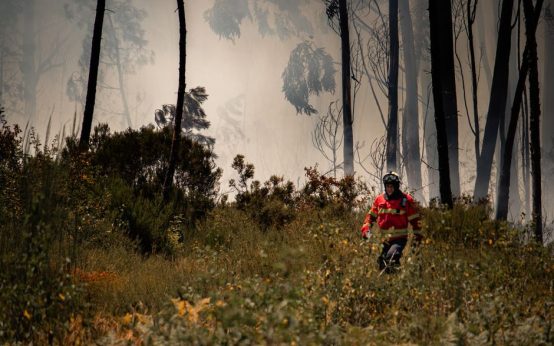 Medios aéreos y terrestres trabajando en la extinción de un incendio forestal