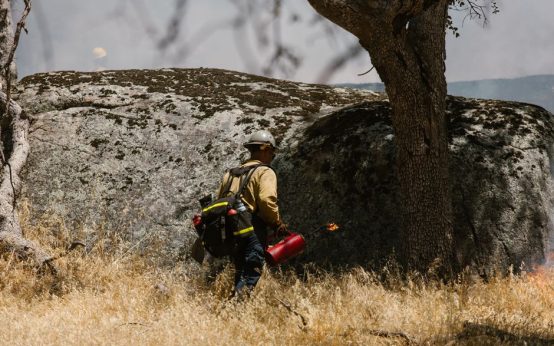 Efectivos trabajando en un incendio forestal en la Comunidad de Madrid