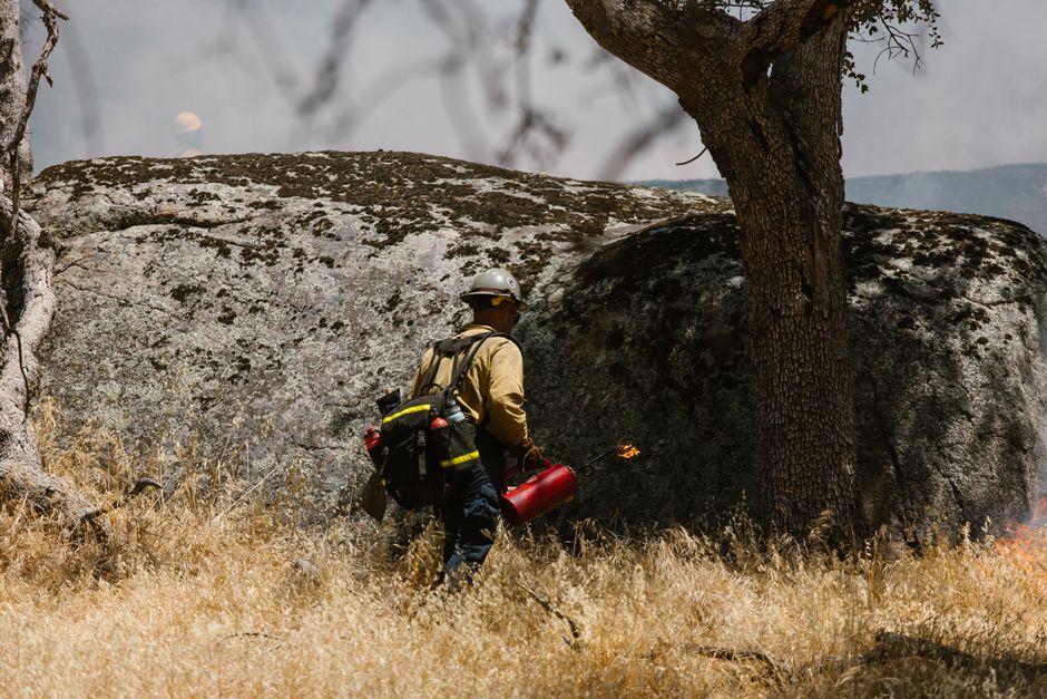 Efectivos trabajando en un incendio forestal en la Comunidad de Madrid