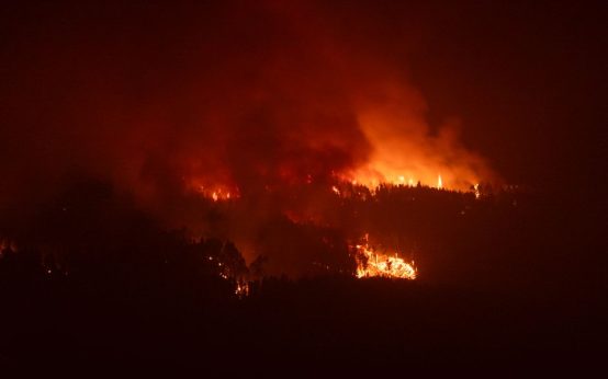 Zona forestal afectada por incendio en la Sierra Oeste de Madrid