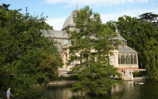Parque urbano con vegetación y sendero, naturaleza en la ciudad de Madrid