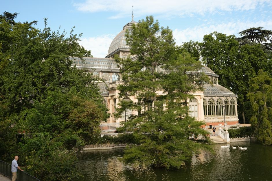 Parque urbano con vegetación y sendero, naturaleza en la ciudad de Madrid