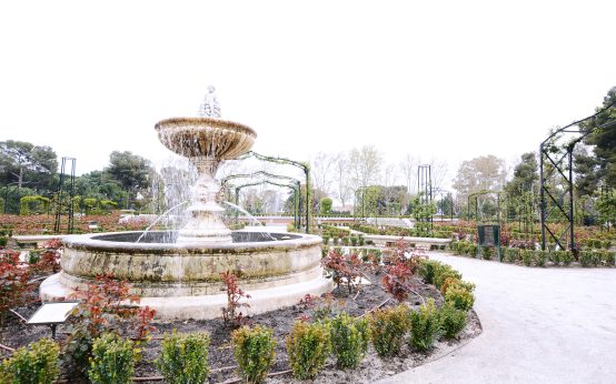 Parque del Retiro de Madrid en un día ventoso